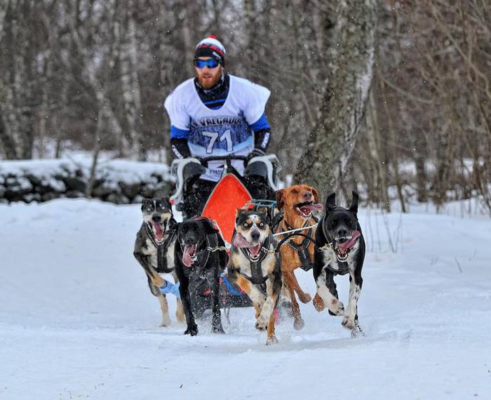 Eneko Agirre txakurrak lagun hartuta, kirolean