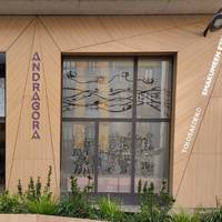 Tolosaldeko emakumeen etxearen aurkezpena.