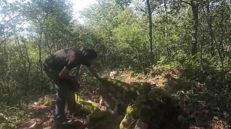 Trikuharria aurkitu dute Onddi mendiko magalean