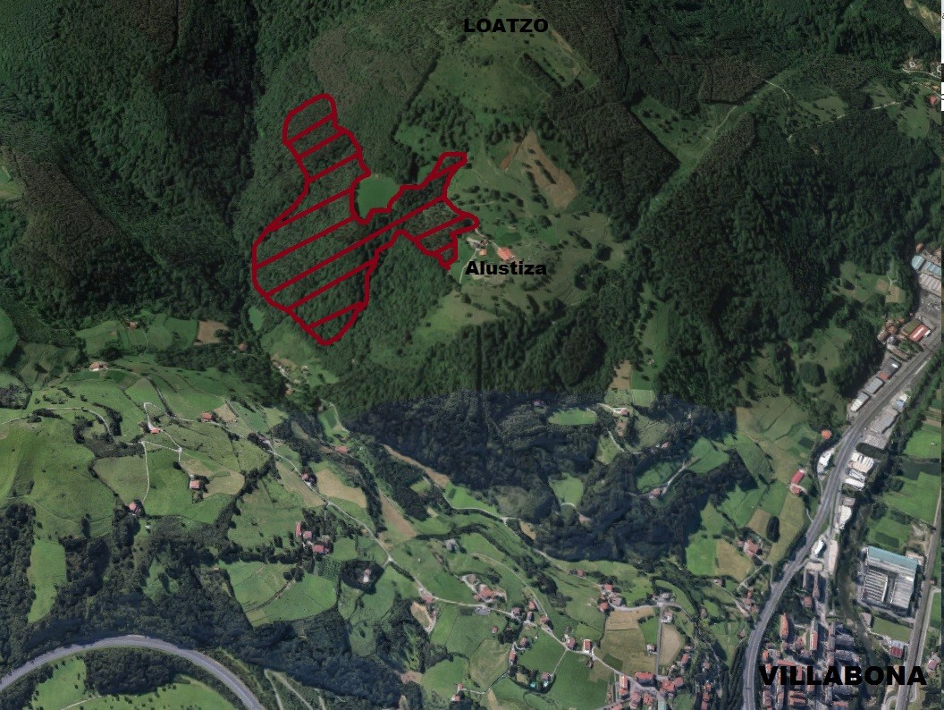 Aranerreka eta Alustiza arteko udal jabetzako 14 hektareatan pinu landaketa moztu eta harizti naturala sortuko da