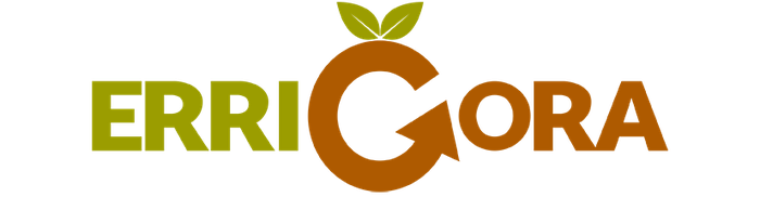 Errigora logotipoa
