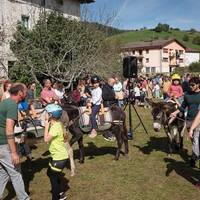 Ganadua, artisautza eta elikagaiak, Asteasuko Azokan