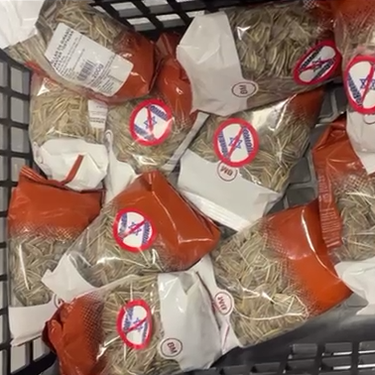 Andoaingo BDZ taldeak aurkezpena egingo du Arrate pilotalekuko bilera-gelan
