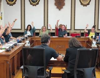 Andoaingo udalbatzak, Axeri Dantzaren aldeko adierazpen instituzionala