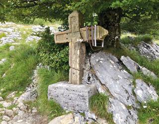 Hernioko uztai sendagarrien misterioa