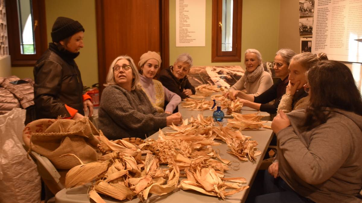 Arto hostoak lantzen ikasten