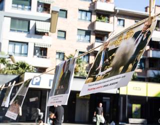 Argazki erakusketa, Palestinaren alde