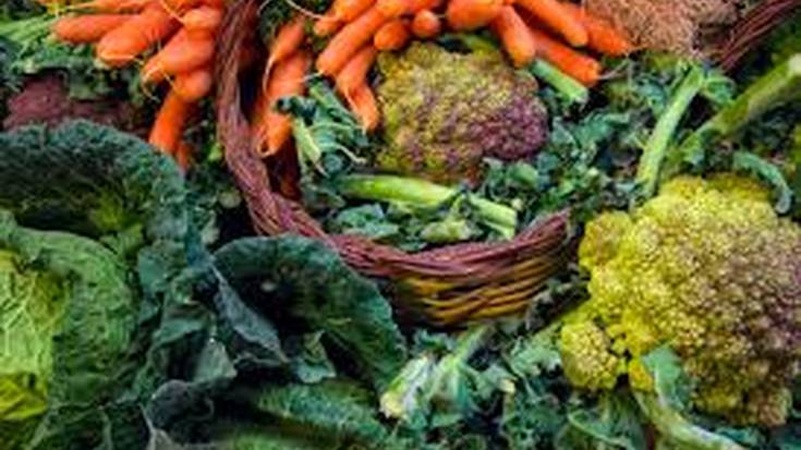Emakumeen eguna: Nutrizioa  perimenopausia eta menopausian eta sukaldean behin