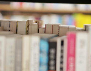 "Unibertsitatea edo Lanbide Heziketa: gazteen zalantzak eta antsietate-iturriak"