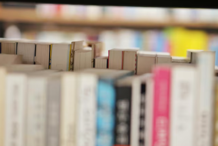 "Unibertsitatea edo Lanbide Heziketa: gazteen zalantzak eta antsietate-iturriak"