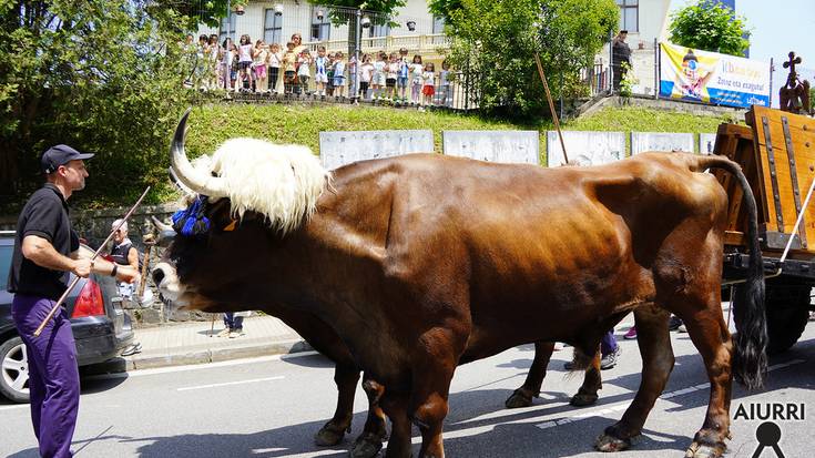 Aralarko San Miguel santutegiko ateen ibilbidea idiekin: Andoainen barrena