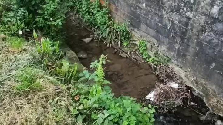 Isurkera toxiko berria Ziakora