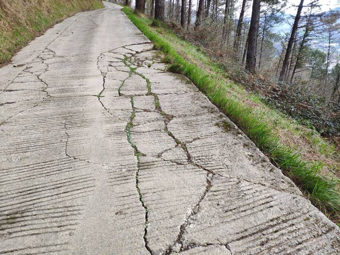 Hobekuntza lanak landa eremuan