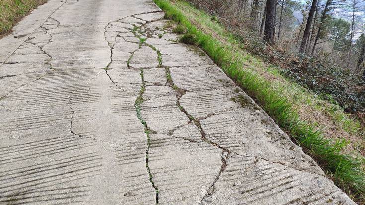 Hobekuntza lanak landa eremuan