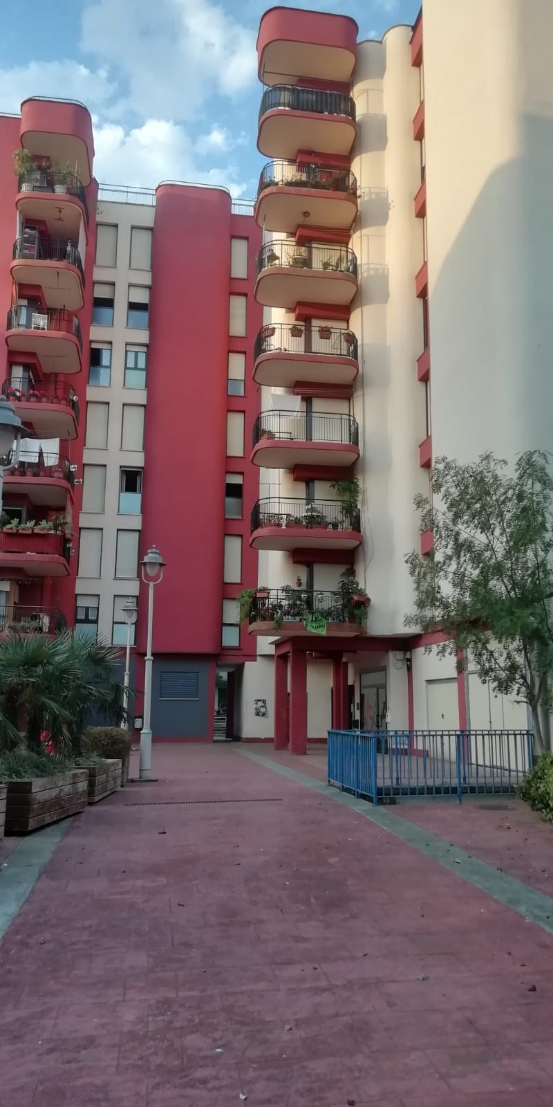Aurrera plazako bizilagun guztiek negatibo eman dute PCR probatan