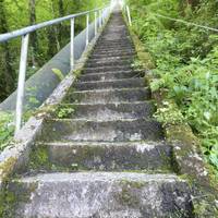 Iristear da Bertxin Xtrem lasterketaren bigarren edizioa