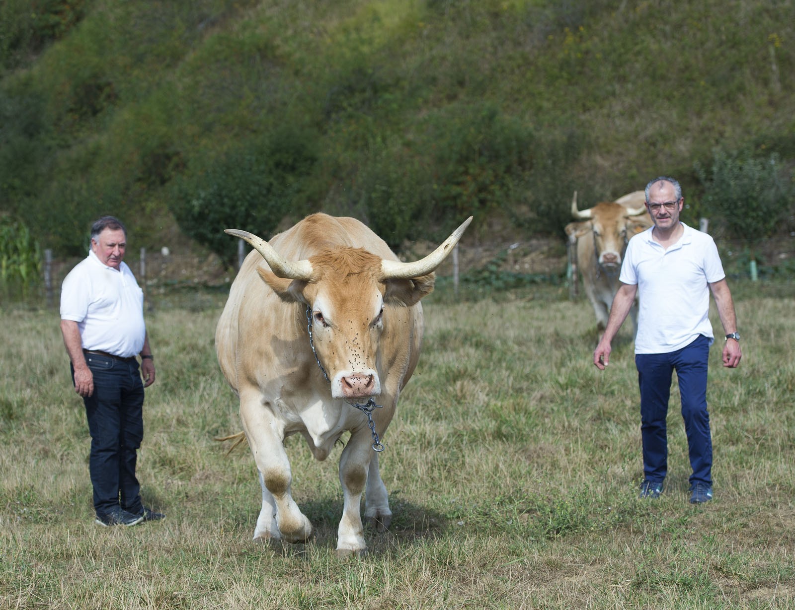"Bezeroek bertako produktua eskatzen dute, eta horixe eskaintzen saiatzen gara"