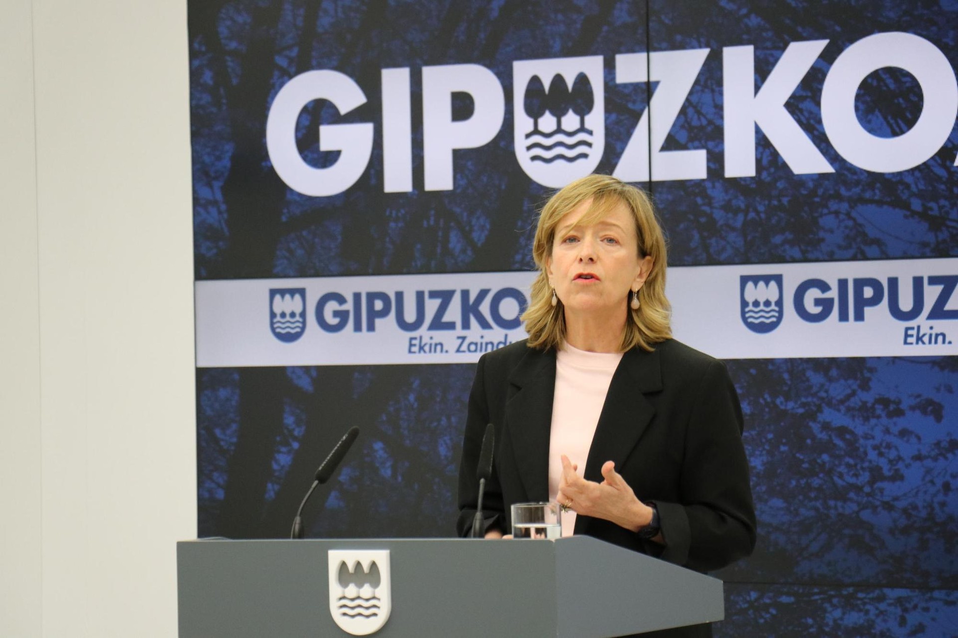 Albiste ona  datorrena Gipuzkoako Foru Aldunditik Amasa Villabonatarrontzat