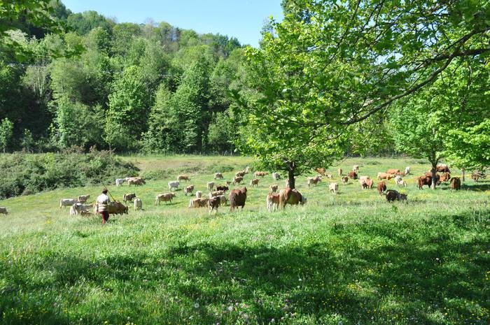 Amasamendiko kudeaketari buruzko bilera irekia, urriaren 28an