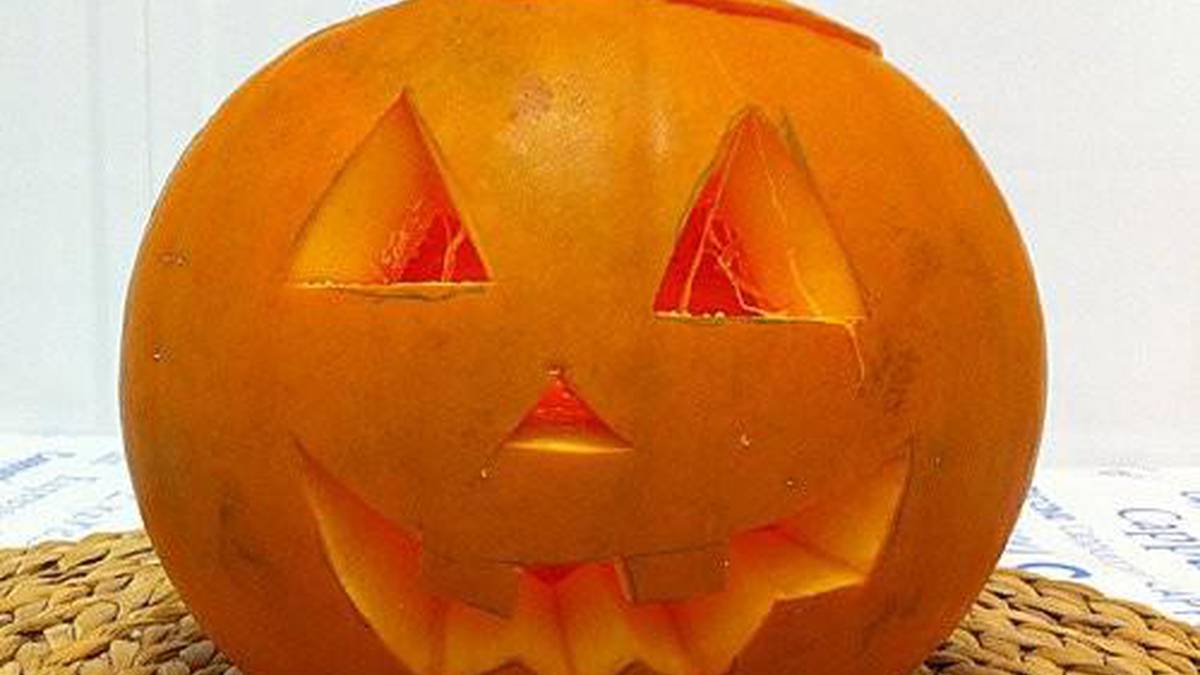 Kalabaza haziak landatzeko hitzordua