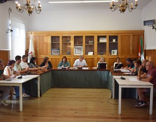 Zerga-ordenantzak aho batez onartu dituzte Urnietan