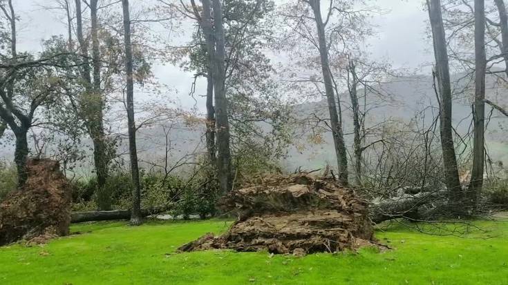 Goiburu Golfen haizeteak eragindako txikizioaren bideo osagarria