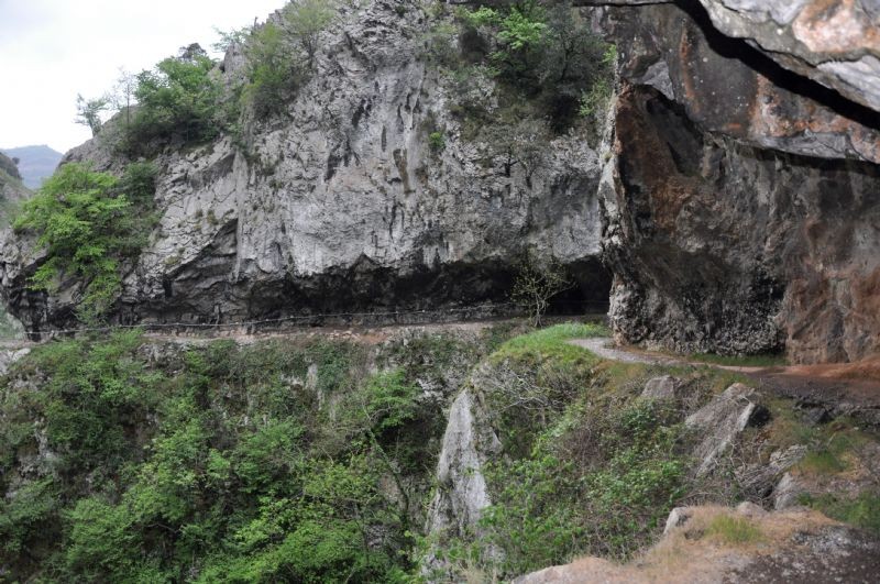 Oviedoko natur parajeak zeharkatuko ditu Euskaldunaren urriko irteerak