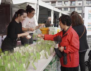 Tonbolaren eta gastronomia eta artisau azokaren bigarren edizioa, hilaren 15ean