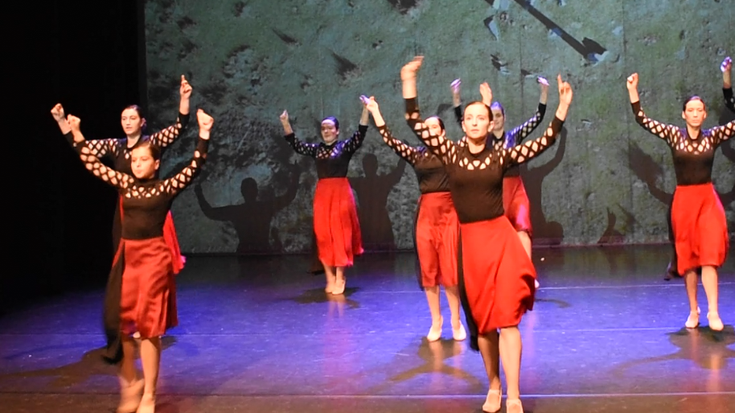 Soinuen Begiradak: Hasiera