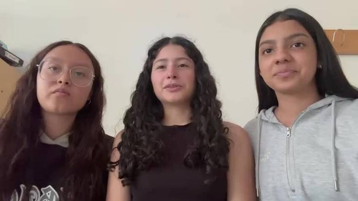 "Sare sozialen inpaktua"