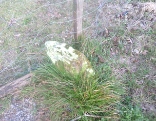 Zizurkilek landa-lurzoruko lursailak topografikoki mugatzen jarraituko du