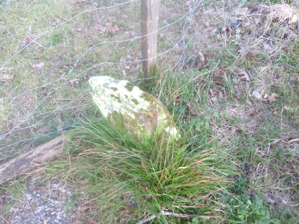 Zizurkilek landa-lurzoruko lursailak topografikoki mugatzen jarraituko du