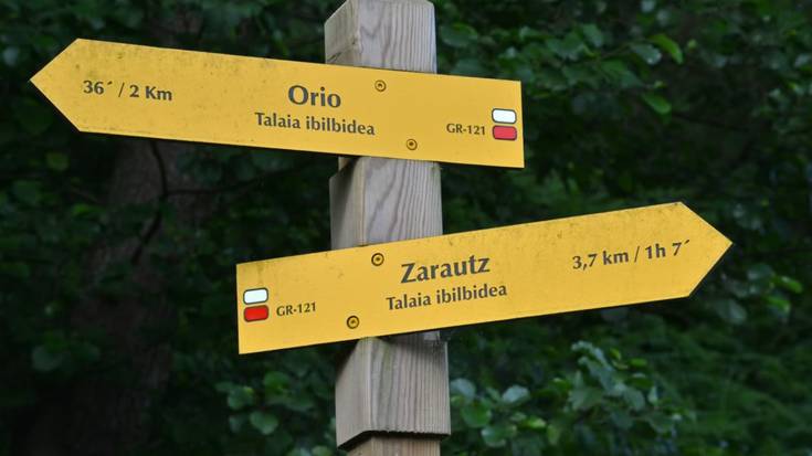 Gipuzkoari bira, Zanpatuzen eskutik