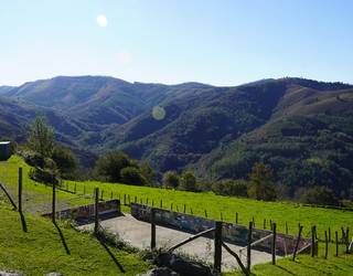 Ikatz Gane: lotsagabekeria hutsa