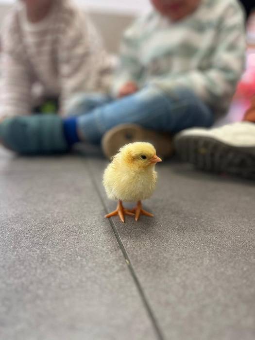 EGAPE IKASTOLAKO TXIKIENAK BASERRIAZ GOZATZEN