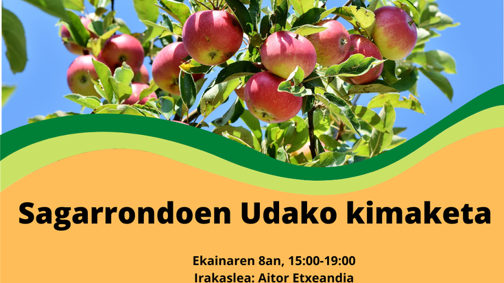 Sagarrondoen udako kimaketa