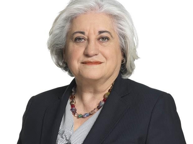 Amasa-Villabonako alderdi sozialistak Arijak udalean egindako lanaren berri eman du