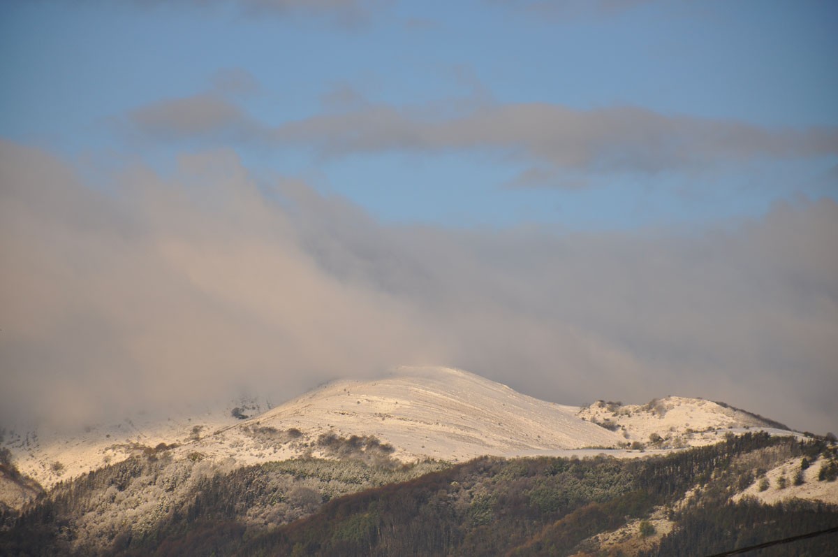 Negu gorri, elur zuri