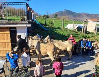 Jarraipena izango du Irunberri elkartearen urteurreneko egitarauak