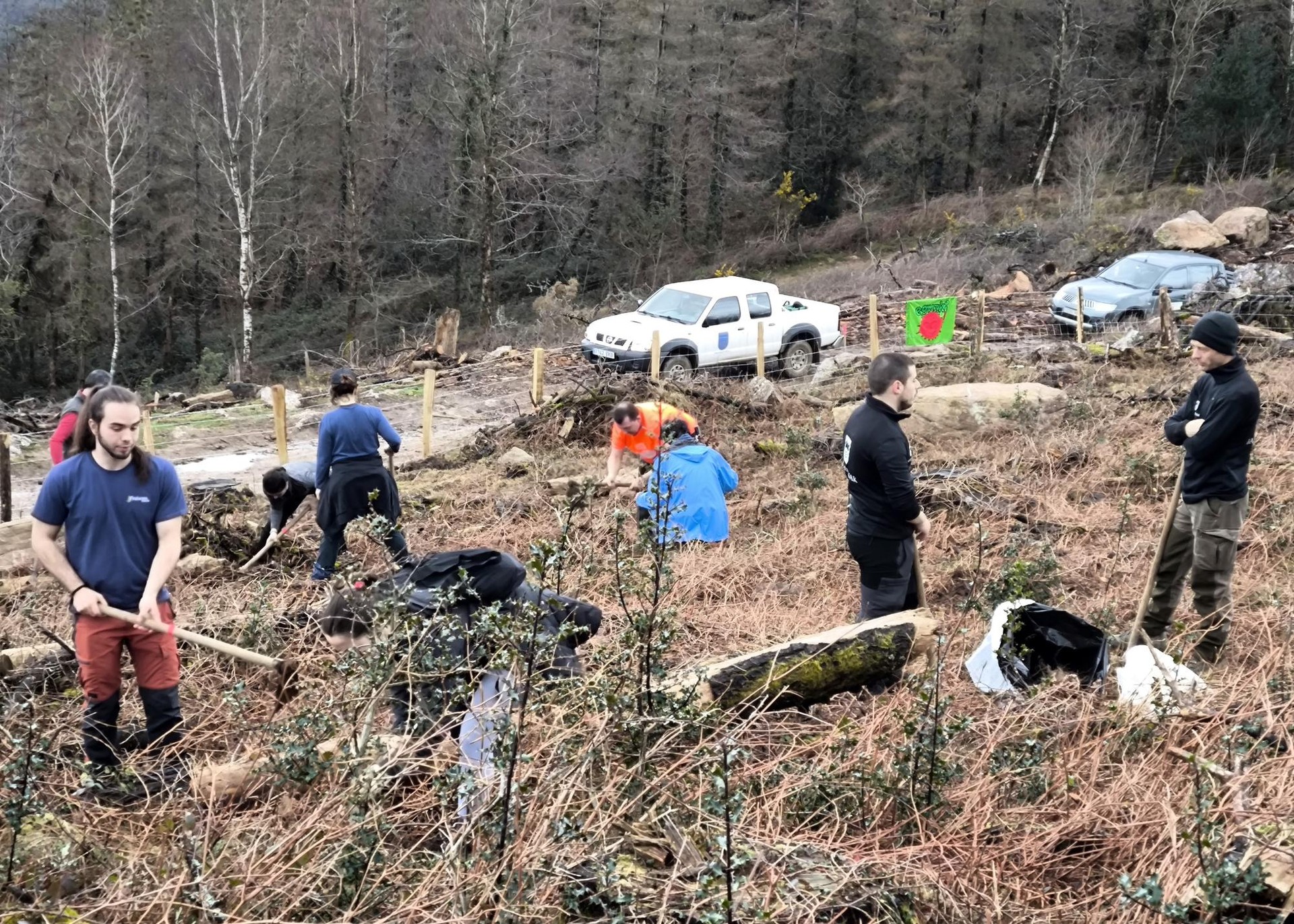 Zuhaitz landaketan trebatzeko ikastaroa antolatu dute urriaren 25erako