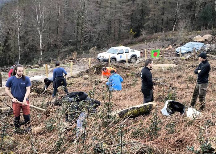 Zuhaitz landaketan trebatzeko ikastaroa antolatu dute urriaren 25erako