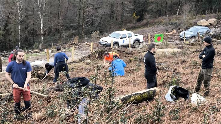 Zuhaitz landaketan trebatzeko ikastaroa antolatu dute urriaren 25erako