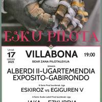 Pilota partidak