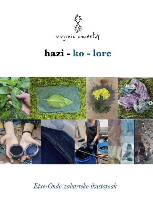 Indigoa, Hazitik zerura