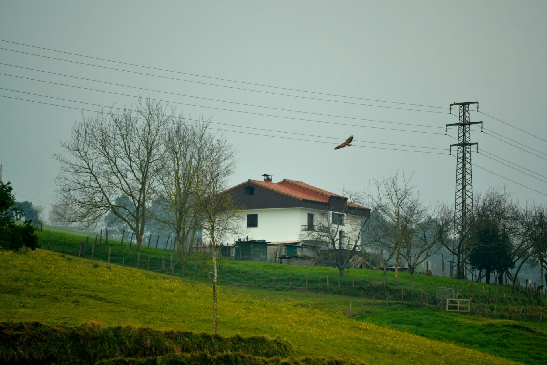 Martxoak 30 | Olagaindik