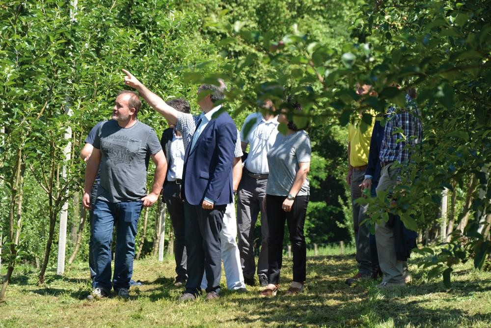 Sagardo guztia bertako sagarrez egiteko bidea jorratuz