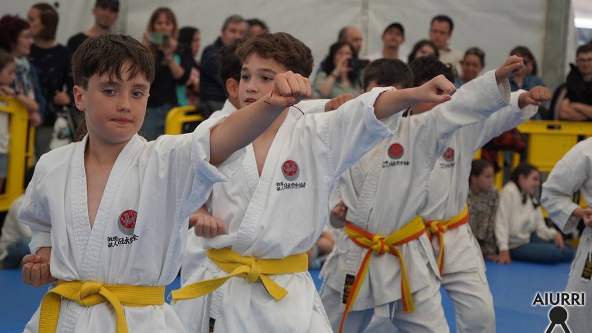 Budokan Karate elkarteko kideen erakustaldia, irudietan