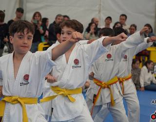 Budokan Karate elkarteko kideen erakustaldia, irudietan