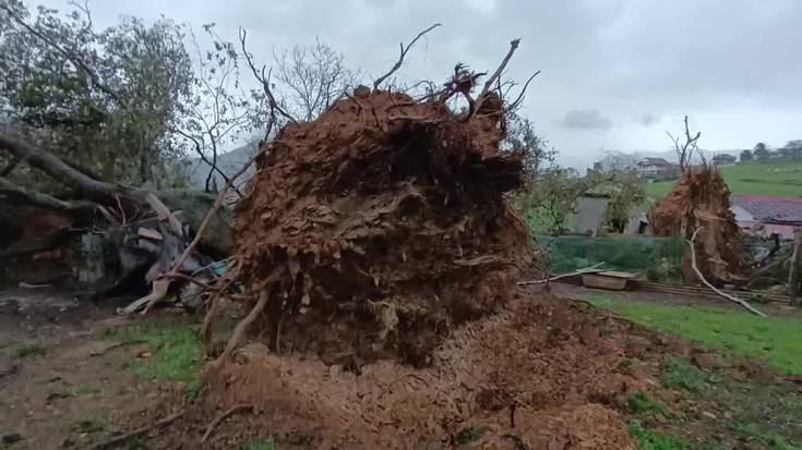 Haizeteak txikizioa eragin du landa eremuko hainbat tokitan