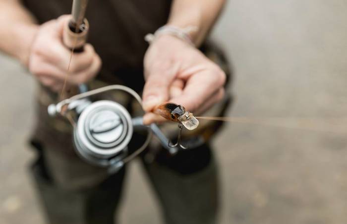 "Lau hamarkada euli-arrantza garatzen"